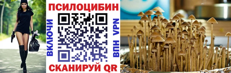 Псилоцибиновые грибы мицелий  купить наркотики сайты  Балтийск 