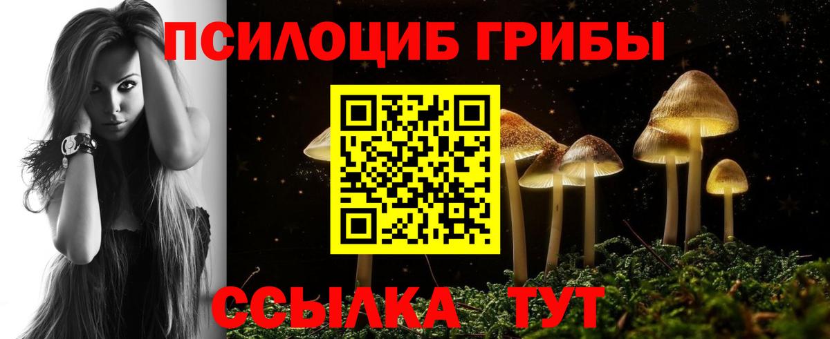 Псилоцибиновые грибы Cubensis  Вход с VPN  Балтийск  купить закладку  Псилоцибиновые грибы Psilocybine cubensis 