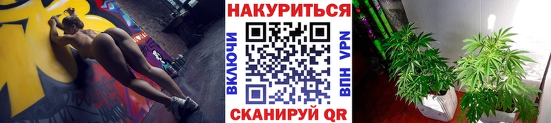 Канабис план  Балтийск 